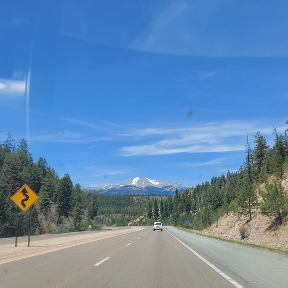 Meet your Posher, Sophie - Picture 1 of 1